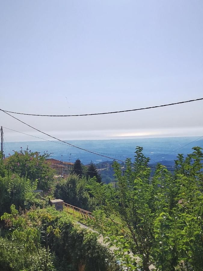 Rapsani Panorama Villa Exteriör bild