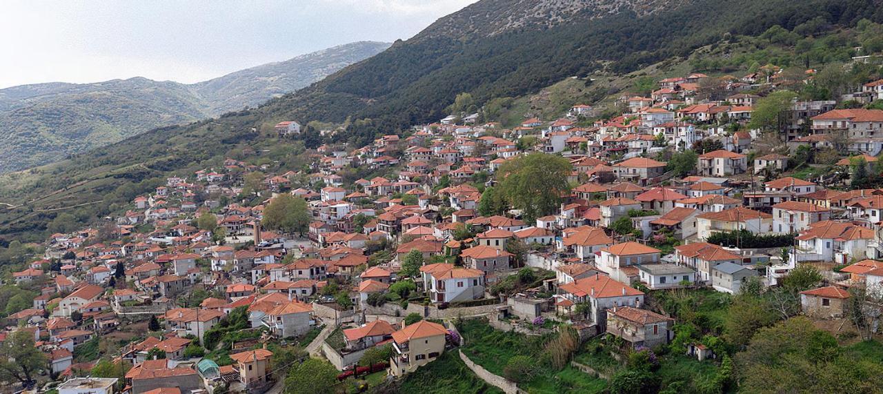 Rapsani Panorama Villa Exteriör bild