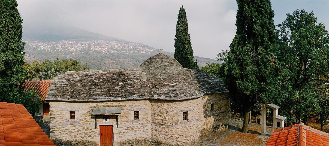 Rapsani Panorama Villa Exteriör bild